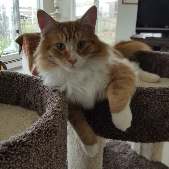 Meet your Posher - Picture 3 of 5